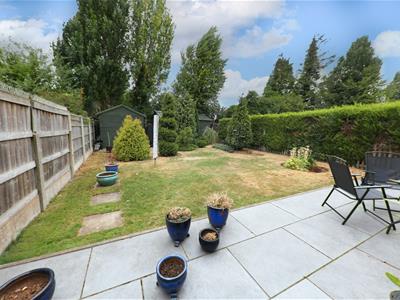 Picture 21